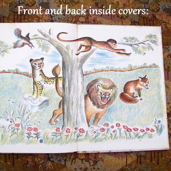 AESOP'S FABLES 1954 VINTAGE EXCELLENT HARDCOVER w TONY PALAZZO ART, DOUBLDAY - Picture 12 of 15